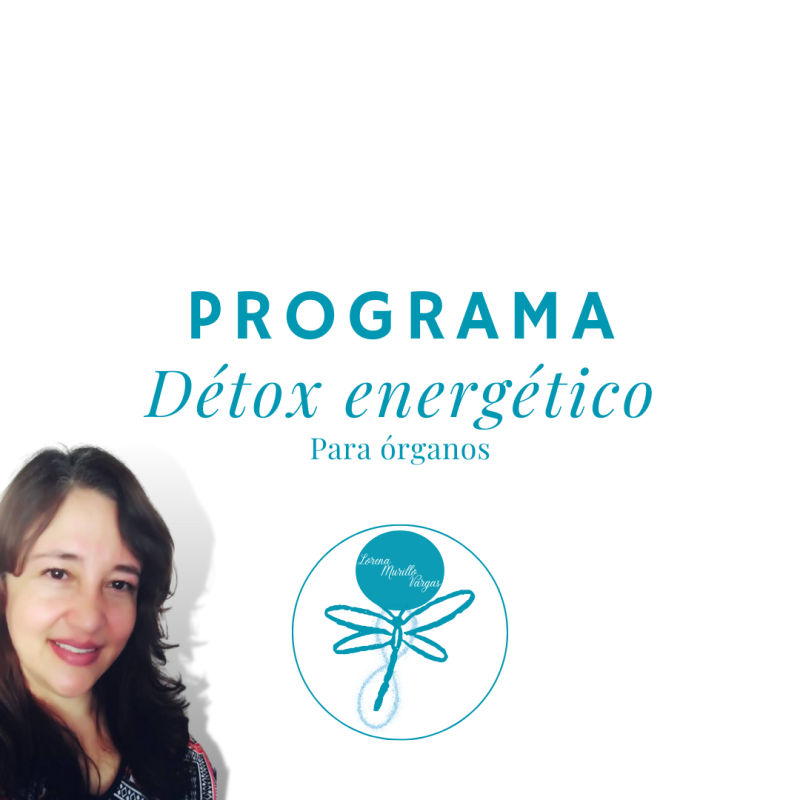 Programa détox energético para órganos